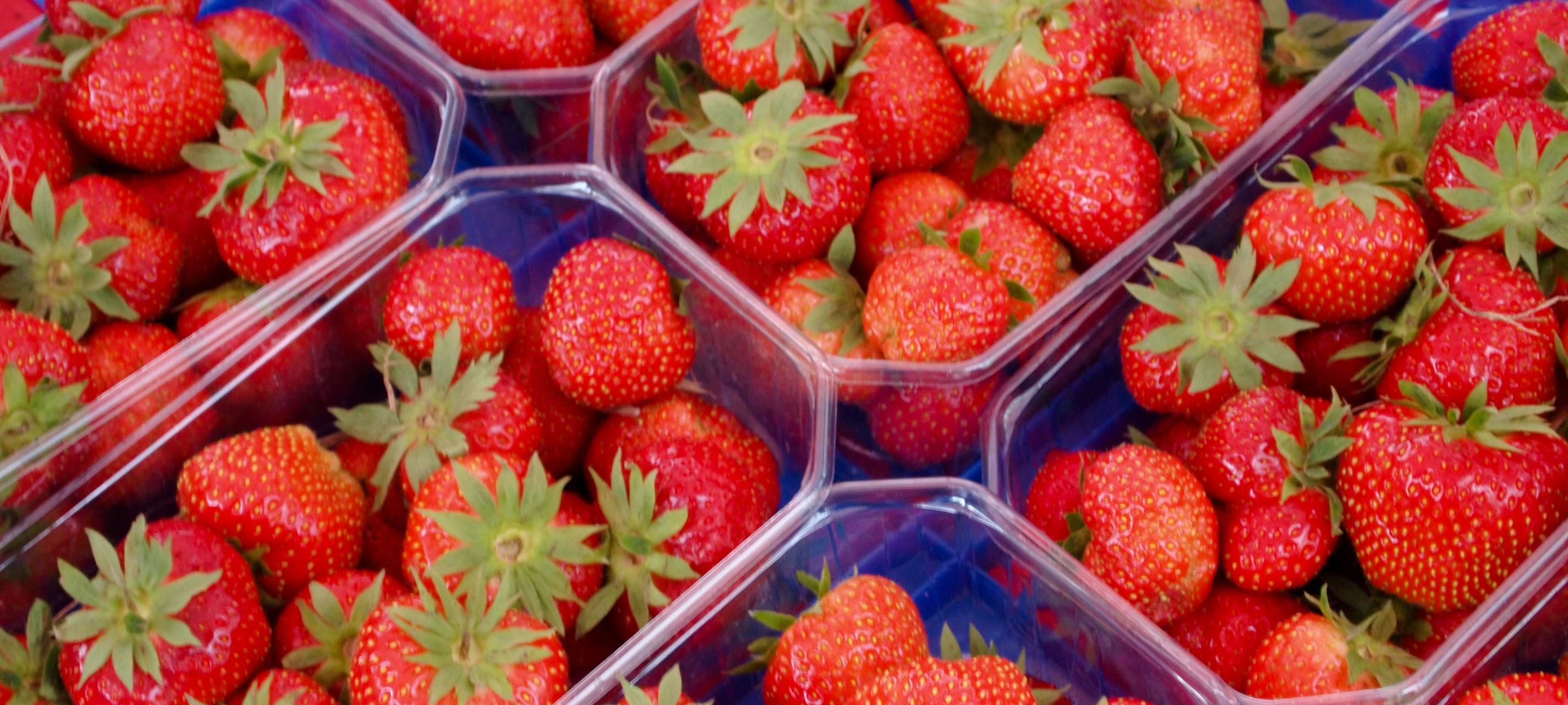 Erfolgreiche Erdbeersaison in der Region