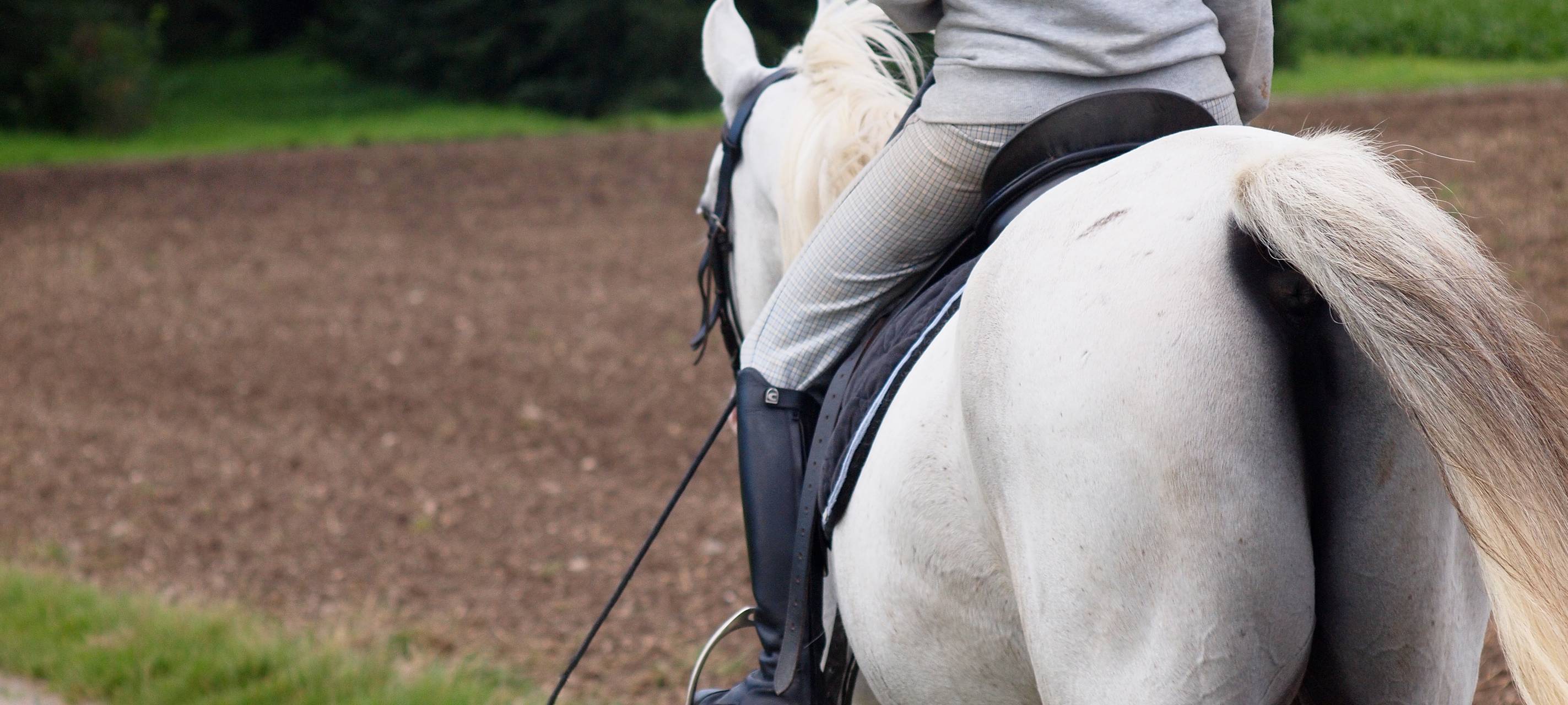 Horses and Dreams startet