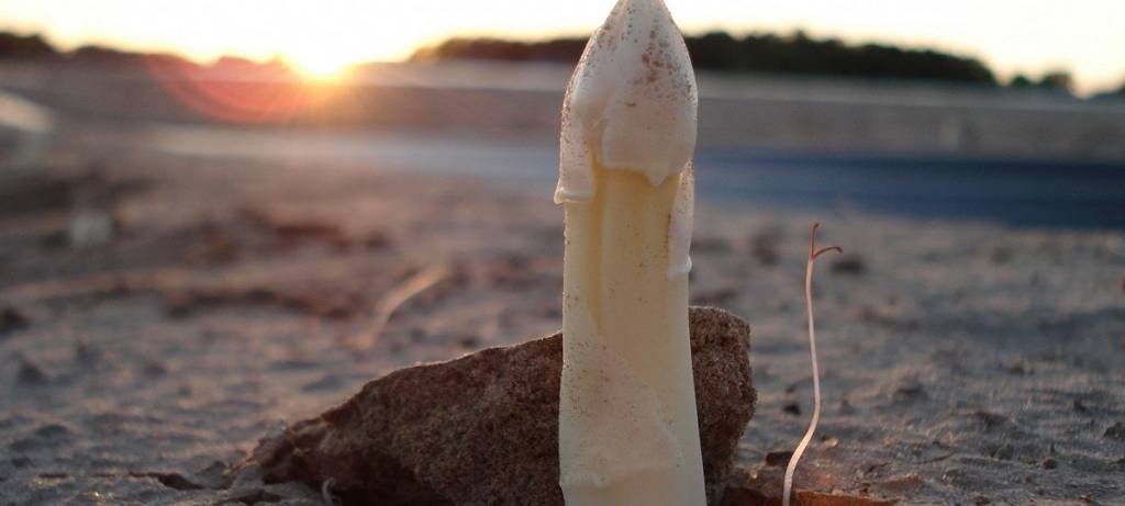 Spargelsaison zu Ende