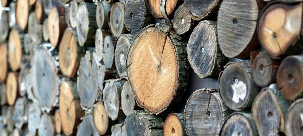 Holzmarkt spielt verrückt