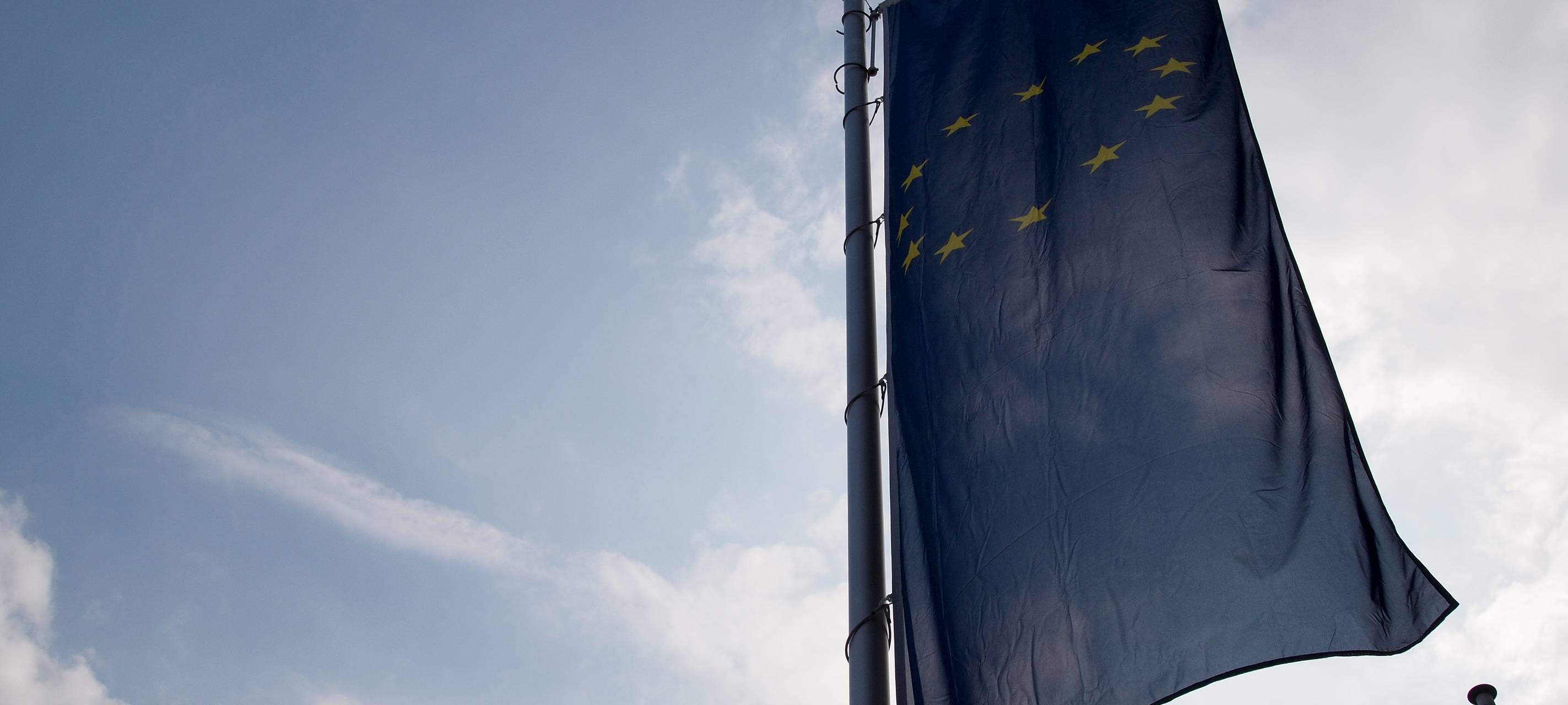 Europawahl 2019