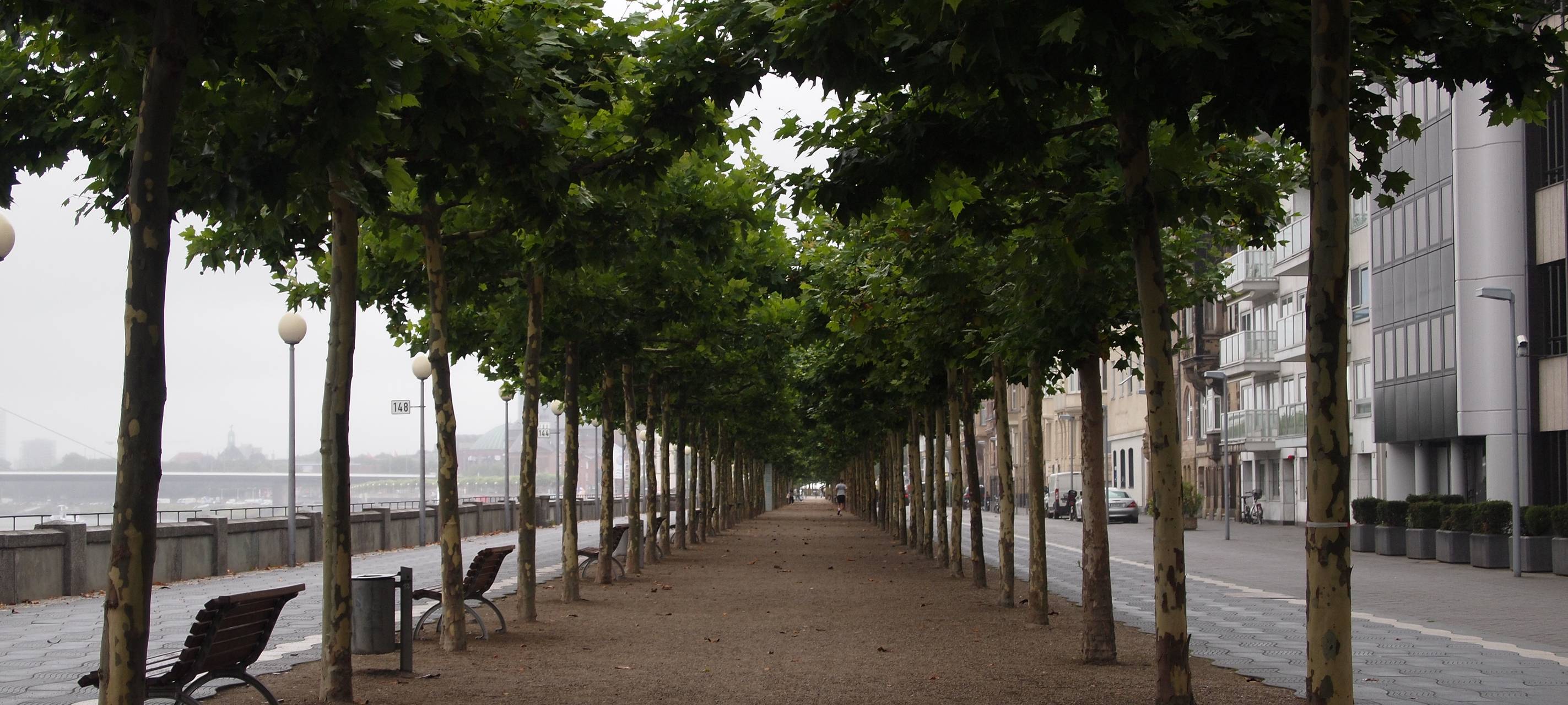 Unsere Zukunft - Leben mit dem Klimawandel: Der Klimamanager