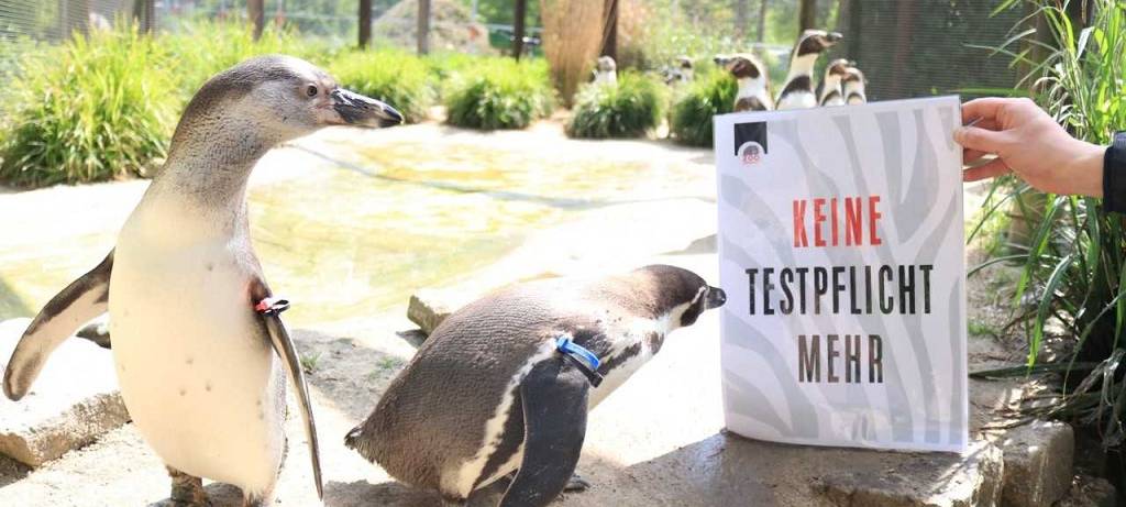 Zoobesuch ohne Test