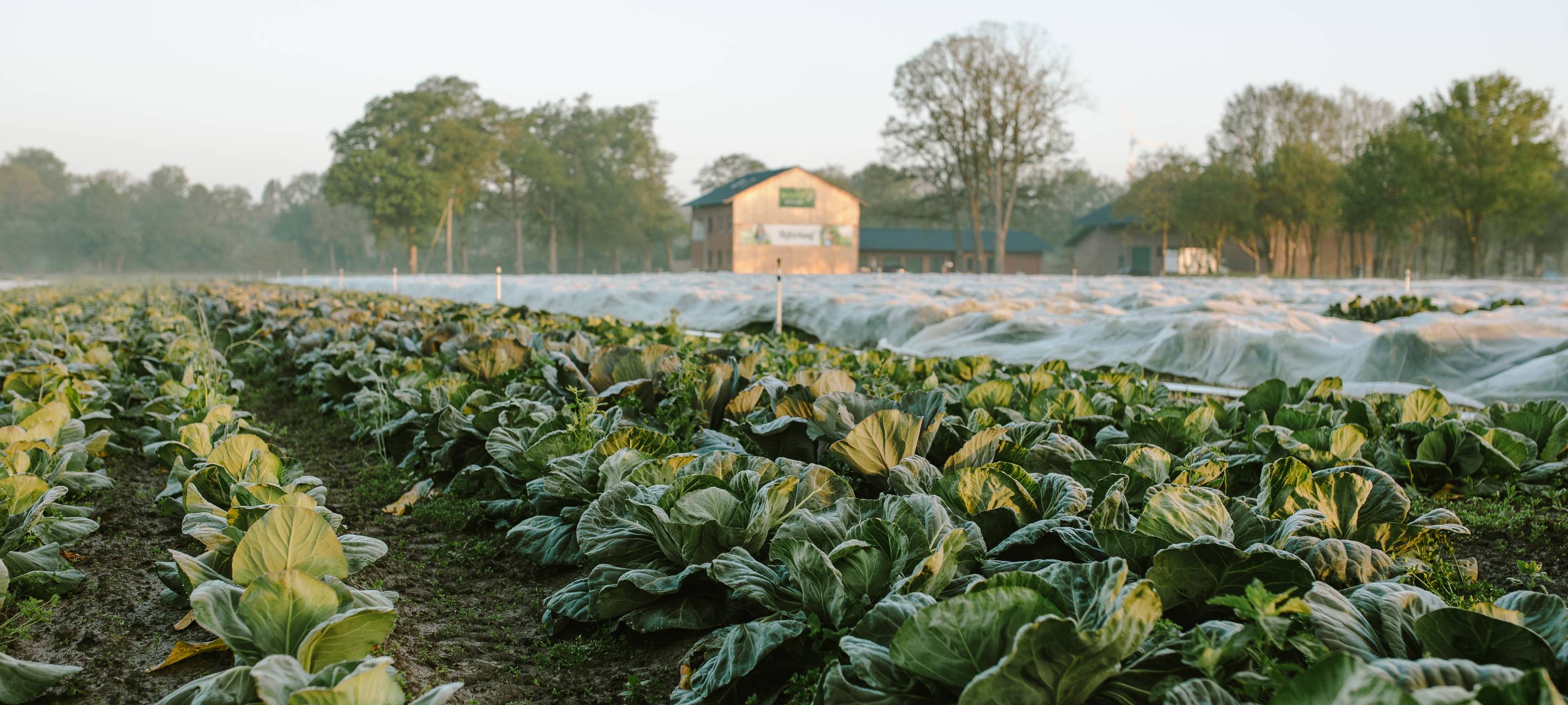 Bio und Digital - Die Zukunft der Landwirtschaft