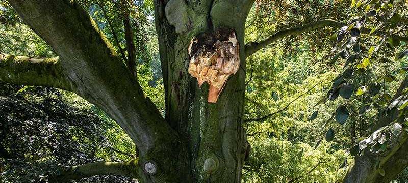 Ende nach 170 Jahren