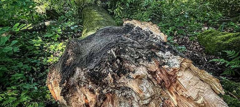 Ende nach 170 Jahren