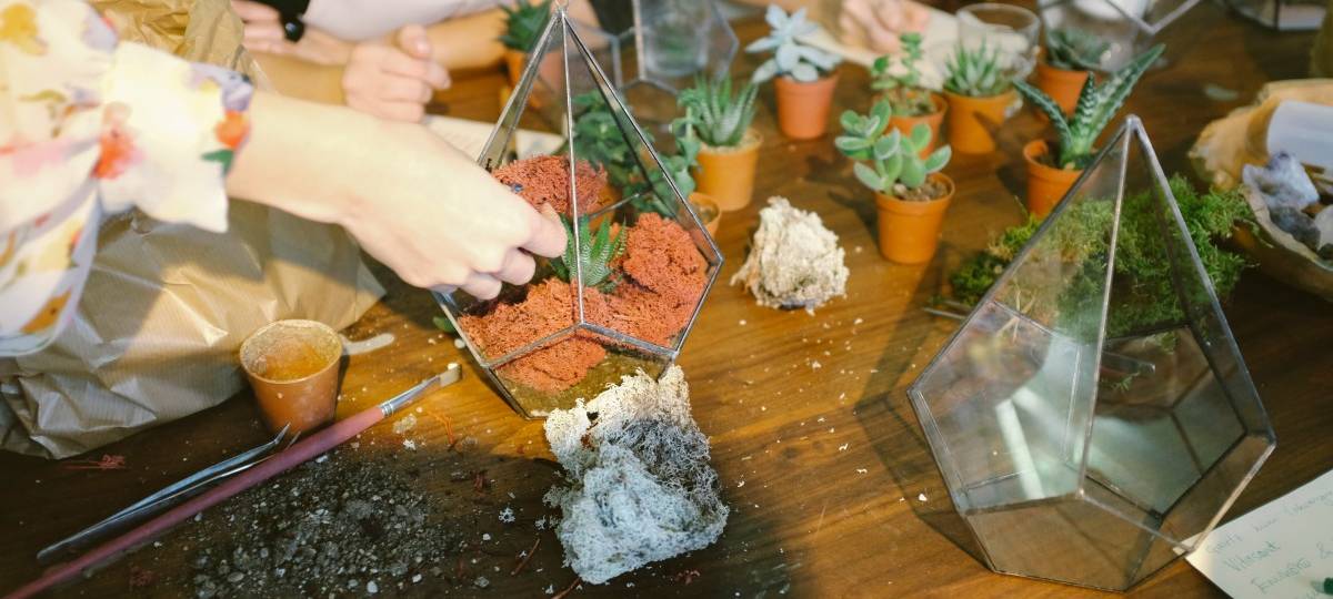 Mehr Geld für Florist:innen im Kreis Steinfurt