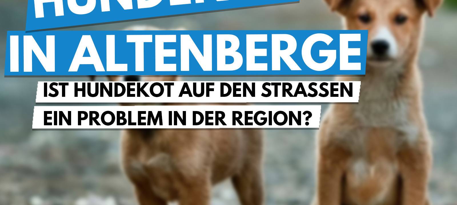 Das Thema der Woche in der Region