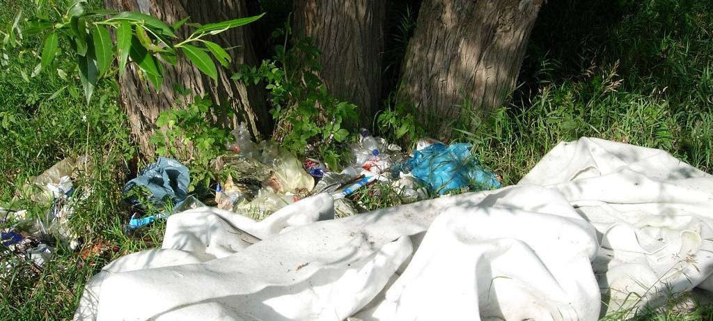 Raus in die schöne Natur?