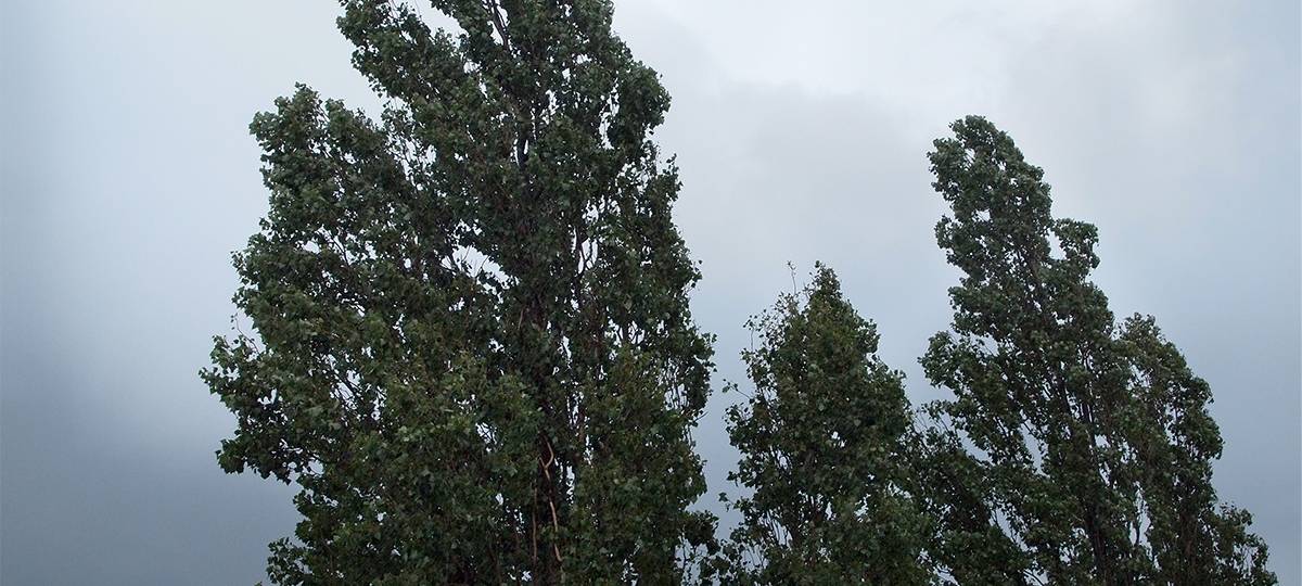 Sturmbilanz für den Kreis Steinfurt