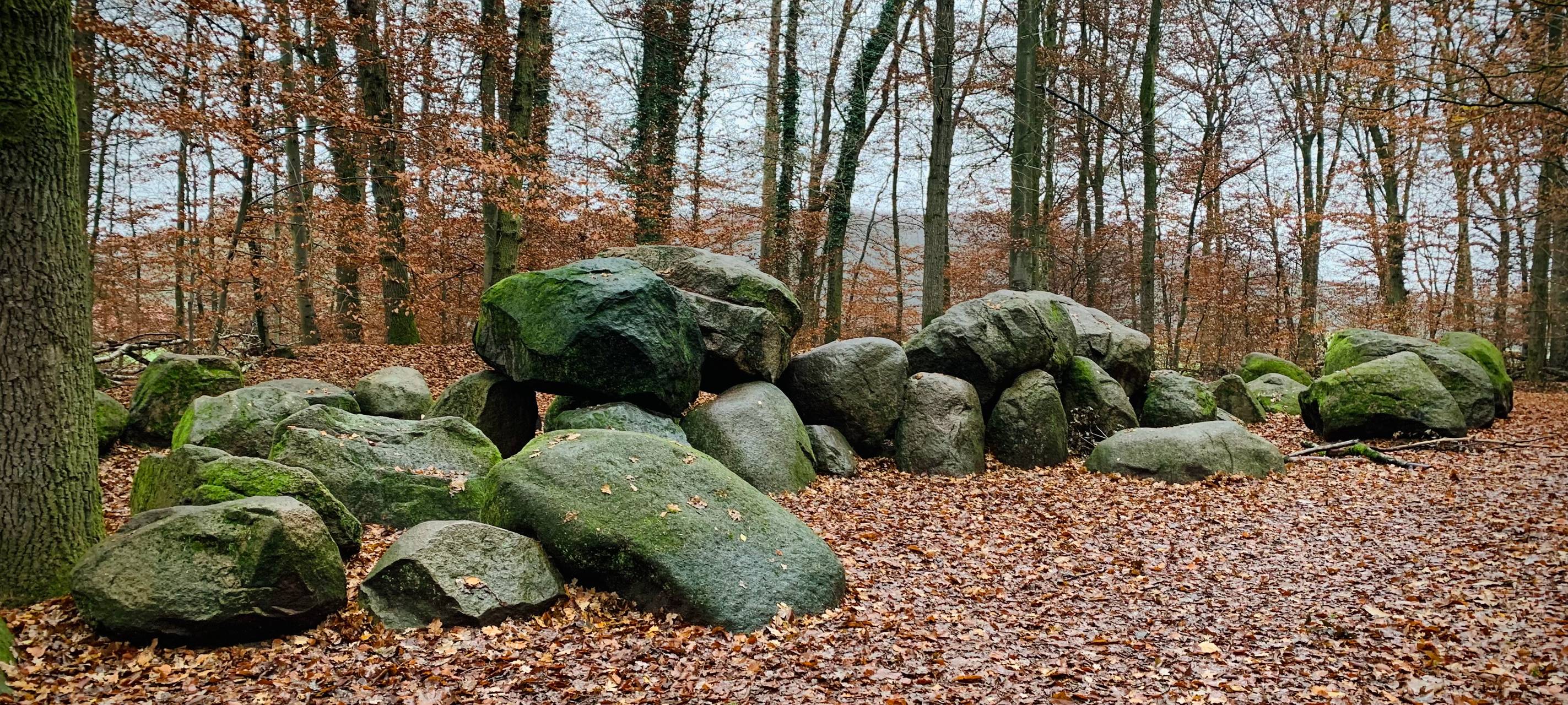 Dorfstory Wersen