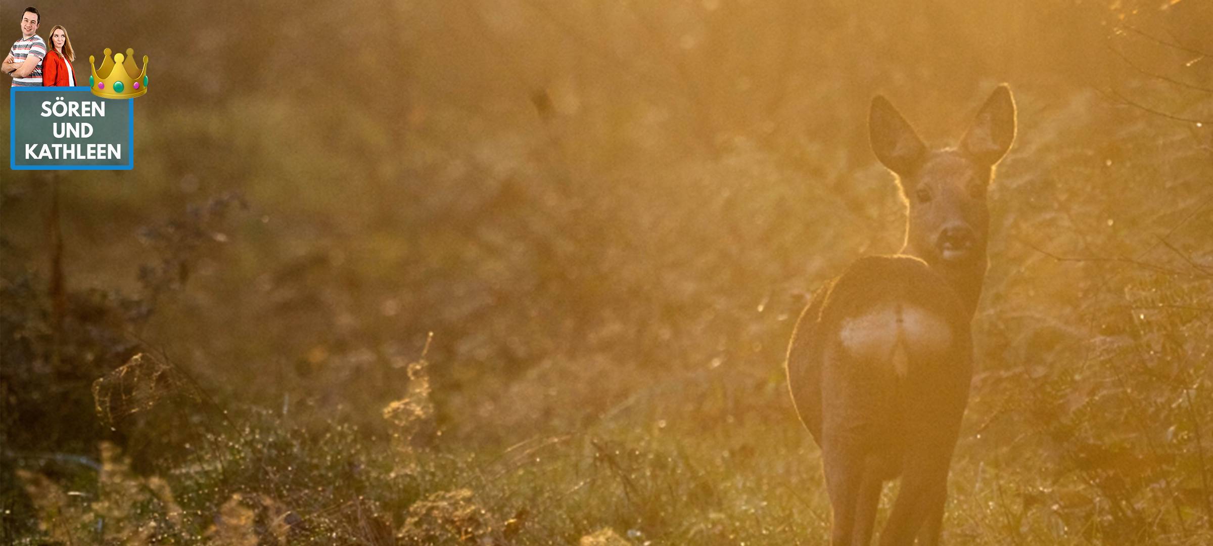 Sören und Kathleen - DAS FOTO DER WOCHE