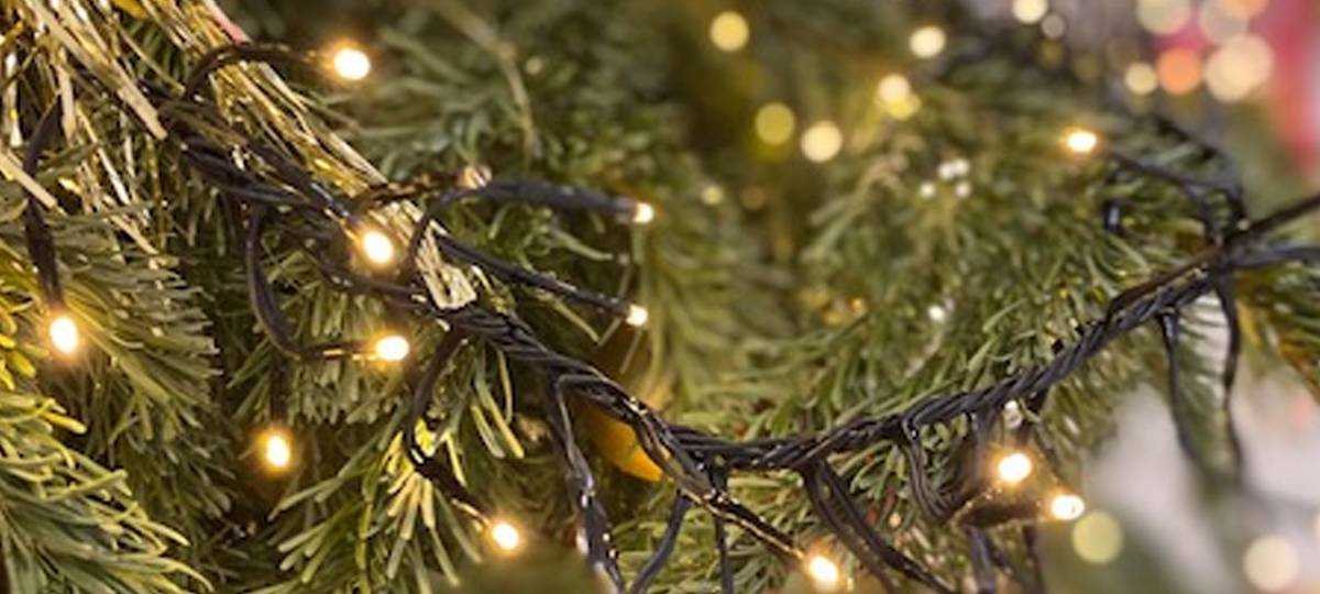 Harmloses Vollwissen - Die letzten Rätsel der Menschheit