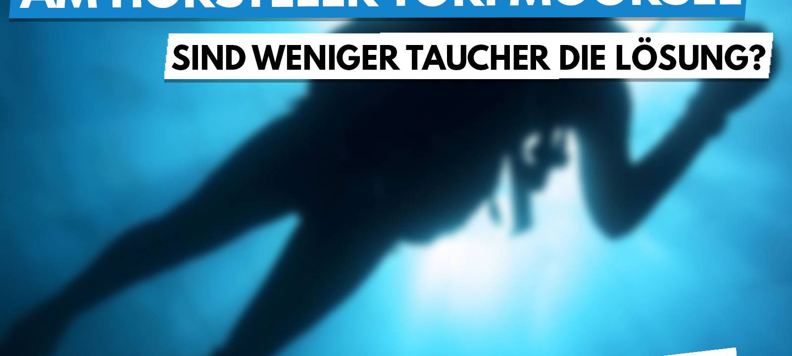 Das Thema der Woche in der Region