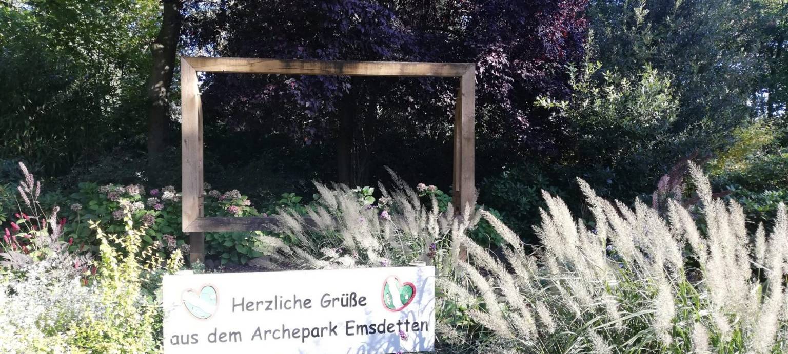 Spielplatz-Experte verrät seine Geheimtipps