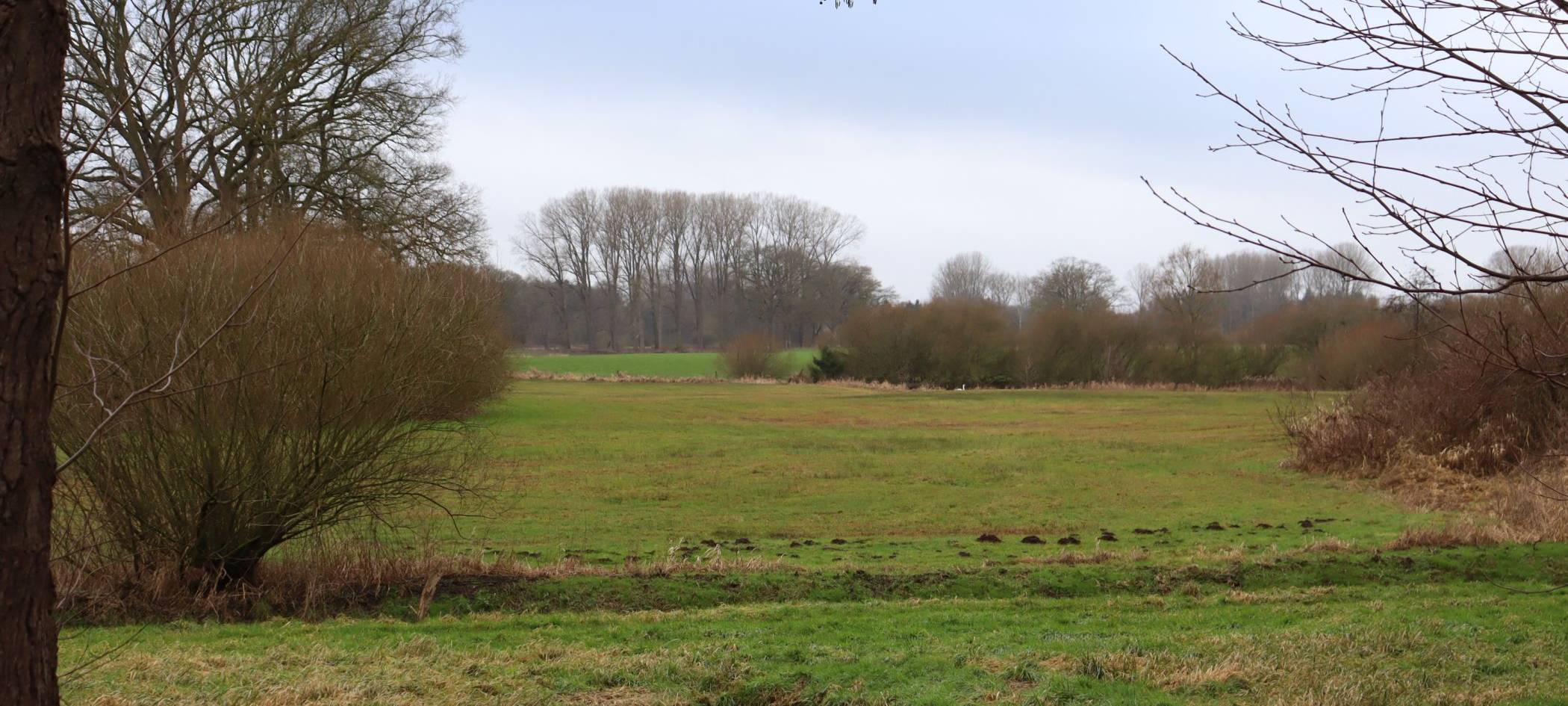 LWL-Archäologie lokalisiert Schwanenburg