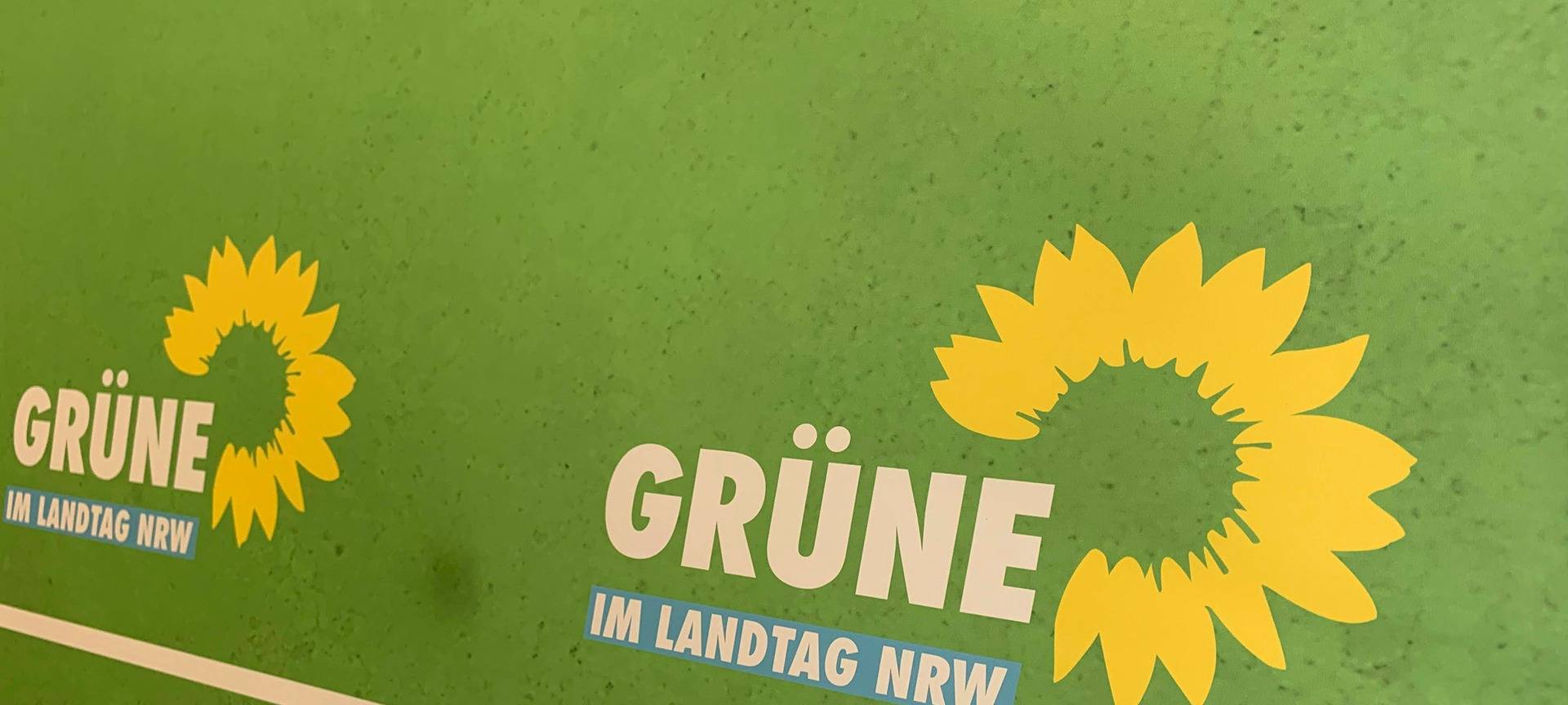 Reaktionen auf das Grünen-Aus