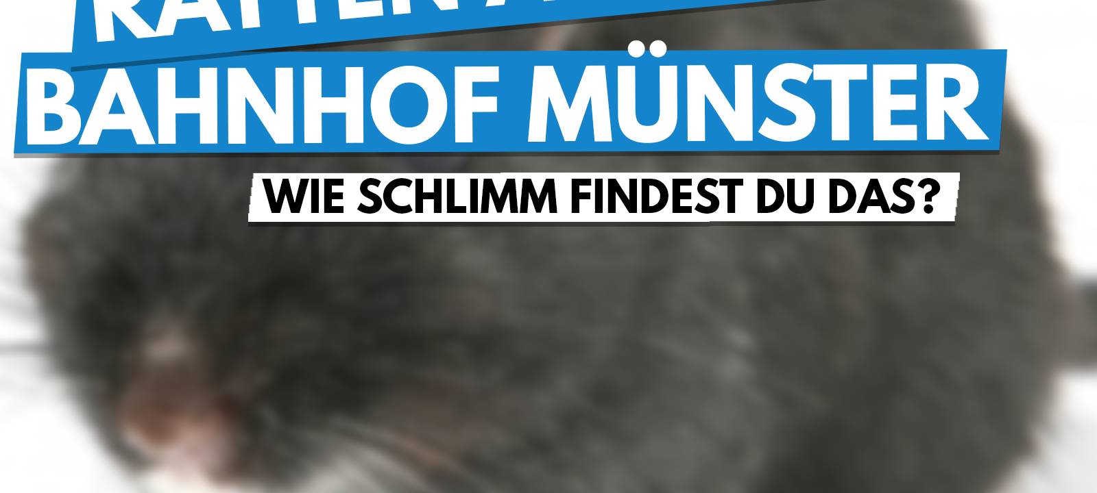 Das Thema der Woche in der Region