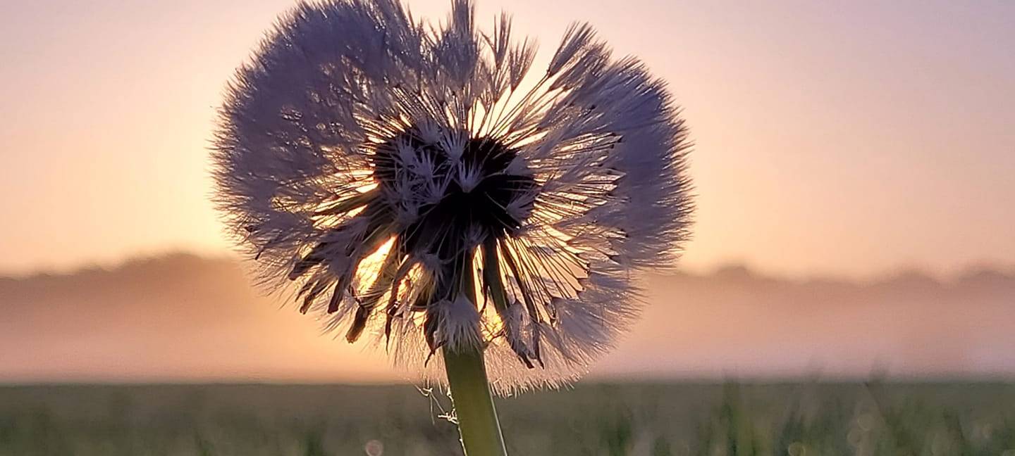 Sören und Kathleen - DAS FOTO DER WOCHE