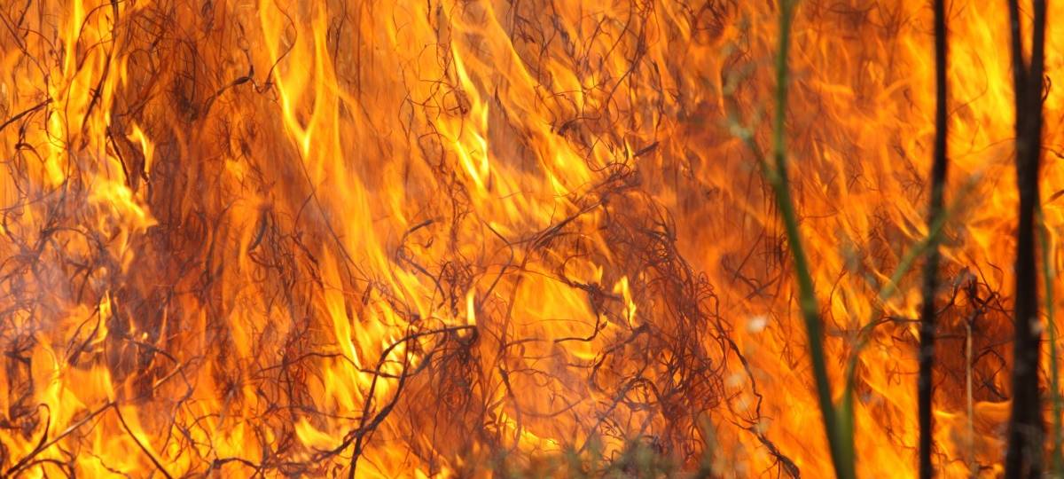 Großbrand auf Acker in Schmedehausen