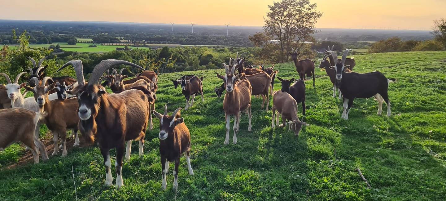 Sören und Kathleen - DAS FOTO DER WOCHE