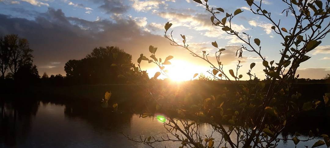 Sören und Kathleen - DAS FOTO DER WOCHE