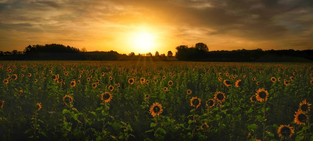 Sören und Kathleen - DAS FOTO DER WOCHE