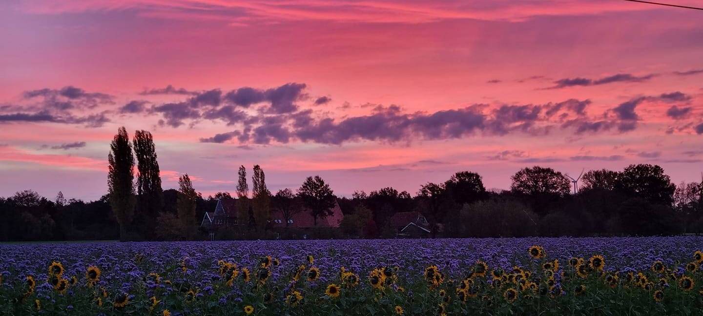 Sören und Kathleen - DAS FOTO DER WOCHE