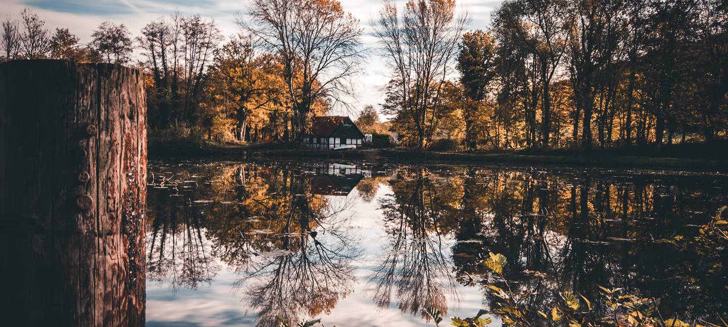 Sören und Kathleen - DAS FOTO DER WOCHE