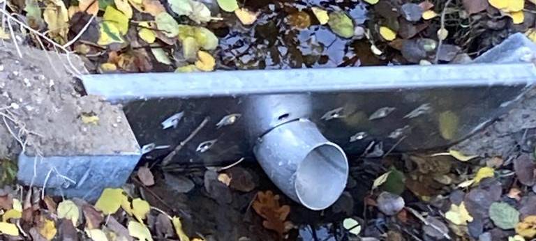 Wertvolles Regenwasser