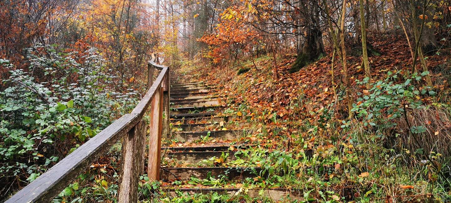 Sören und Kathleen - DAS FOTO DER WOCHE