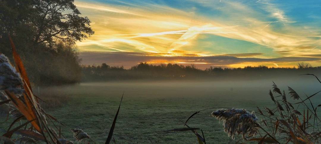 Sören und Kathleen - DAS FOTO DER WOCHE