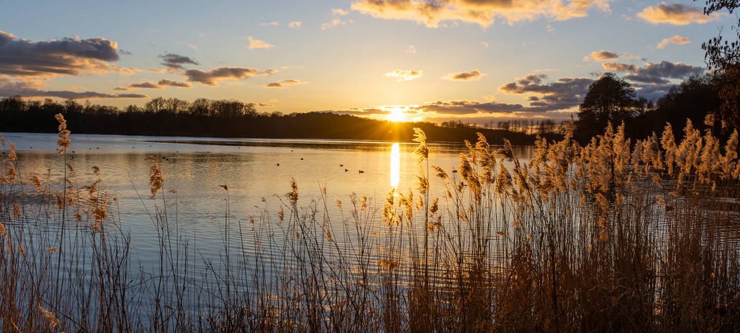 Sören und Kathleen - DAS FOTO DER WOCHE