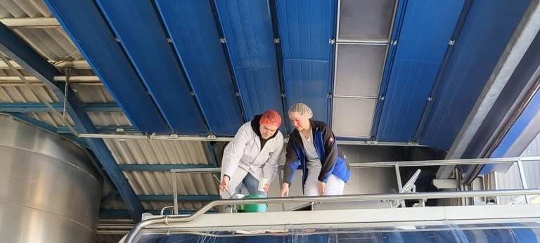 Till tut's: Milchtechnologe