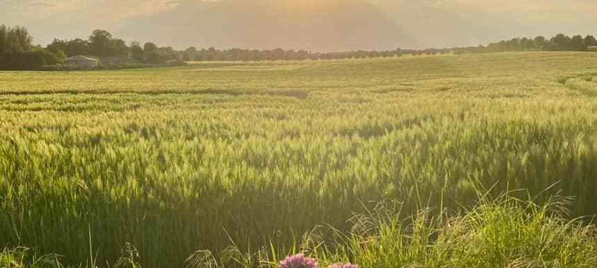 Sören und Kathleen - DAS FOTO DER WOCHE