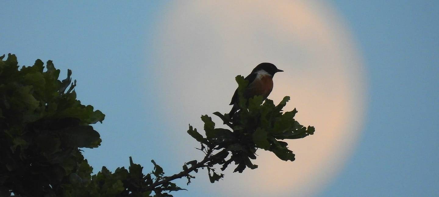 Sören und Kathleen - DAS FOTO DER WOCHE
