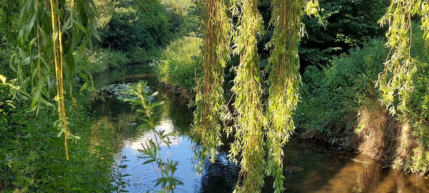 Sören und Kathleen - DAS FOTO DER WOCHE