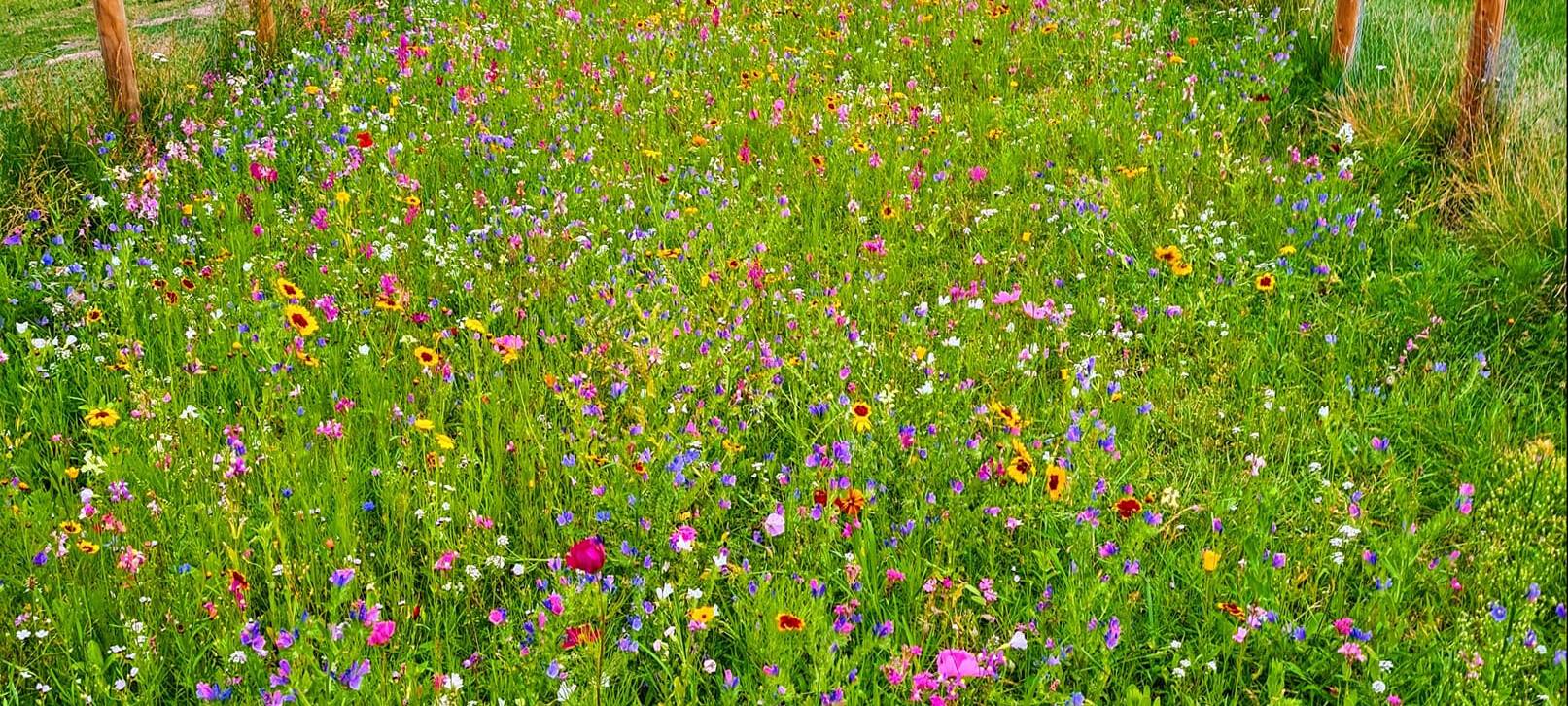 Sören und Kathleen - DAS FOTO DER WOCHE