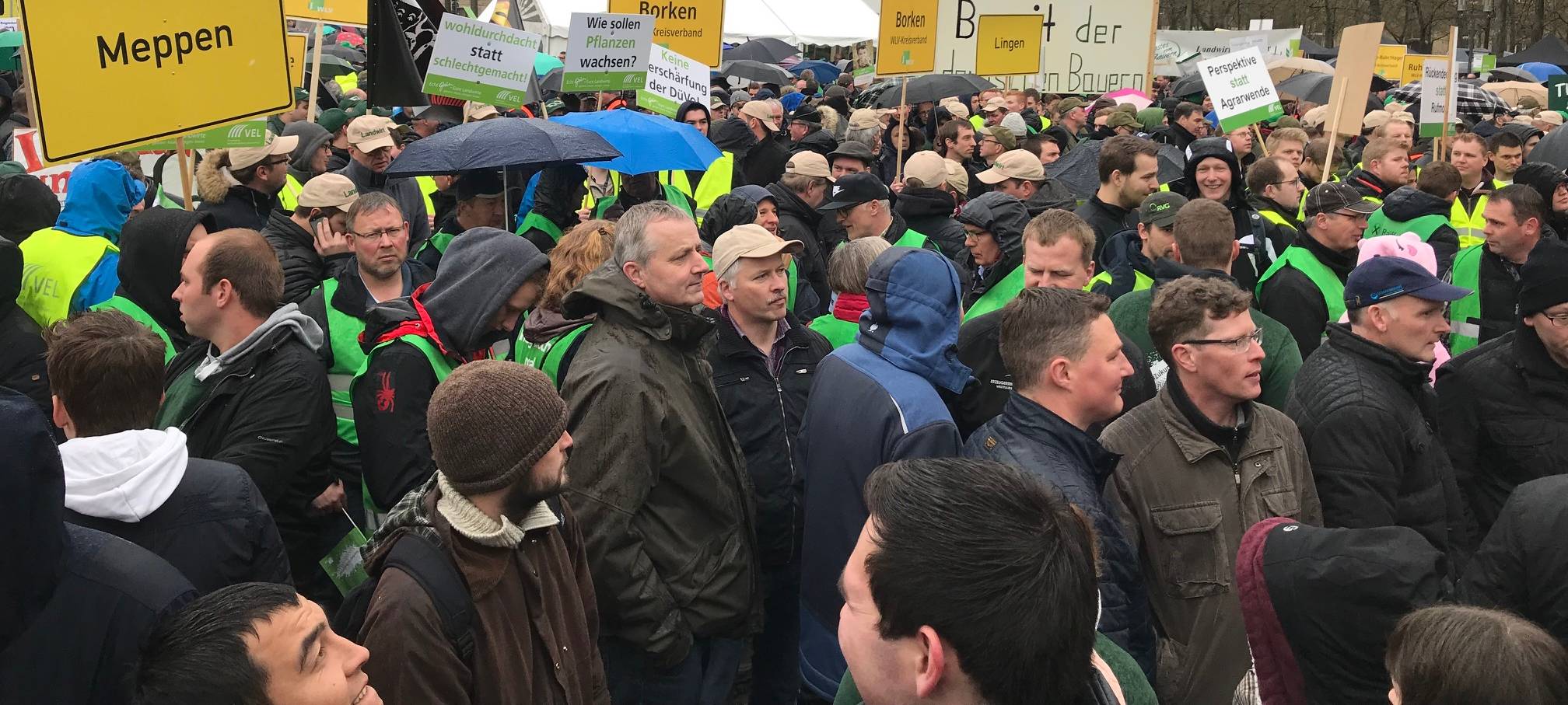 Landwirte protestieren in Münster gegen Düngeverordnung
