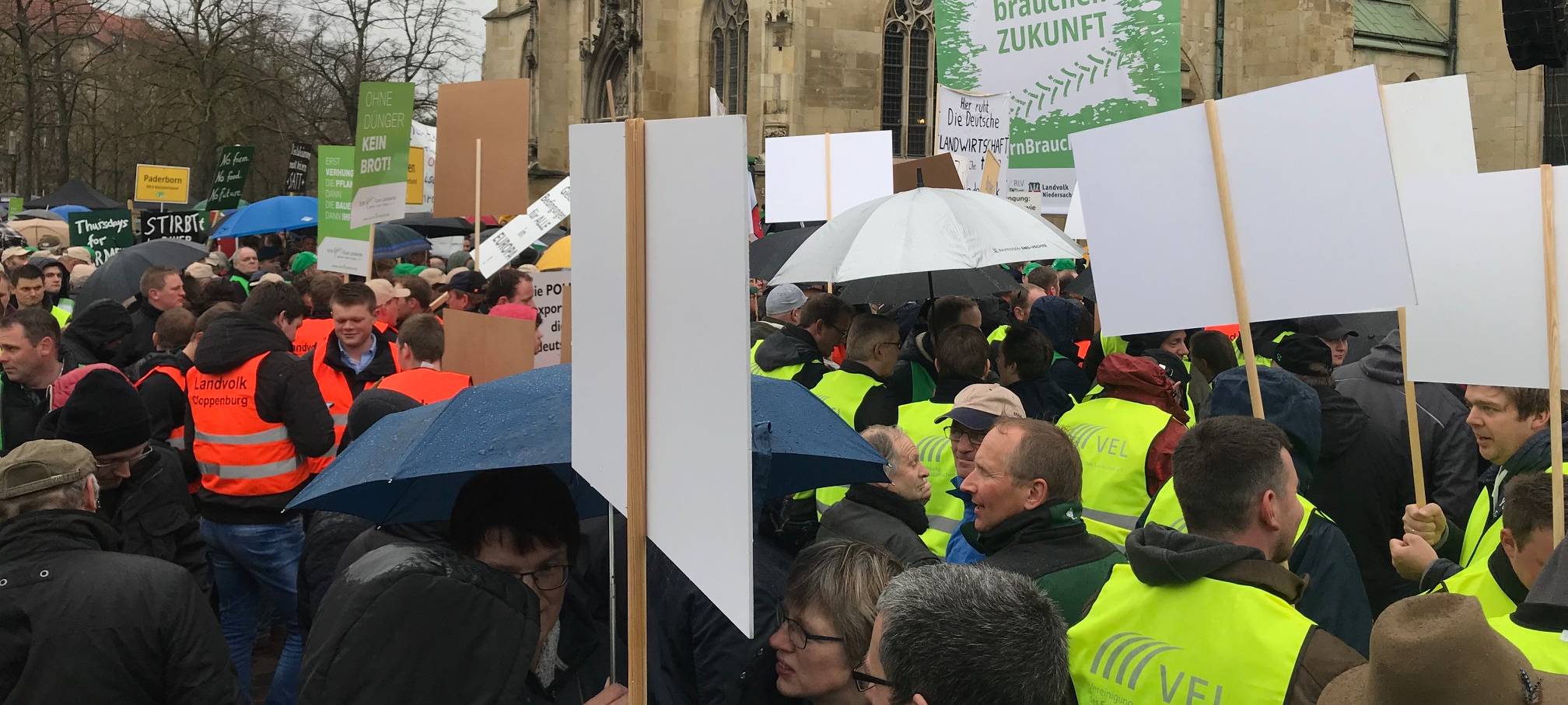 Landwirte protestieren in Münster gegen Düngeverordnung