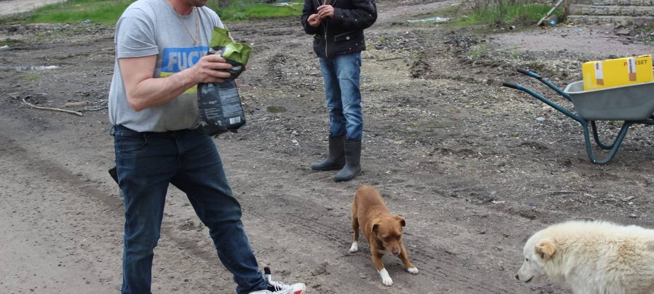 Ukraine-Krieg: Ehrenamtliche aus Greven helfen Menschen und Tieren