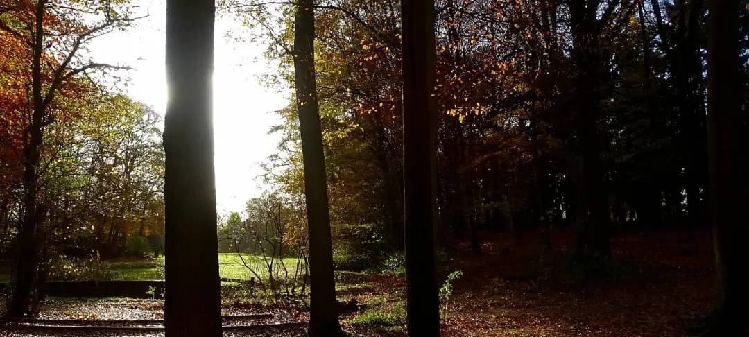 Sören und Kathleen - DAS FOTO DER WOCHE