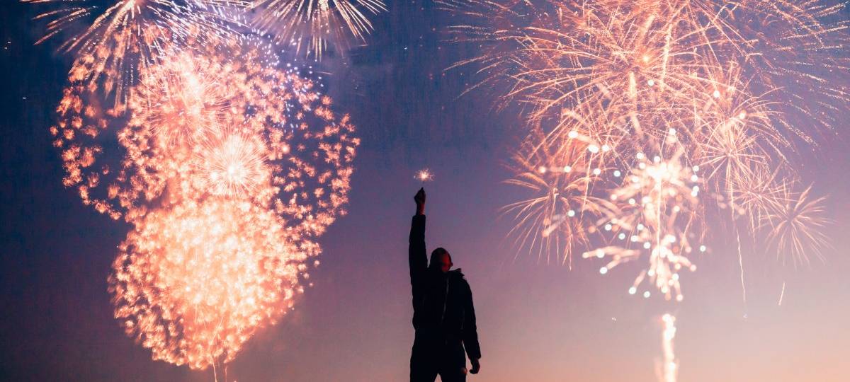 Silvester: Feuerwerk & Tiere