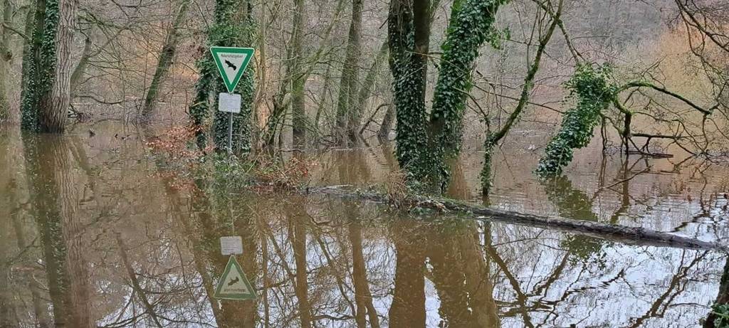 Pegel steigen wieder