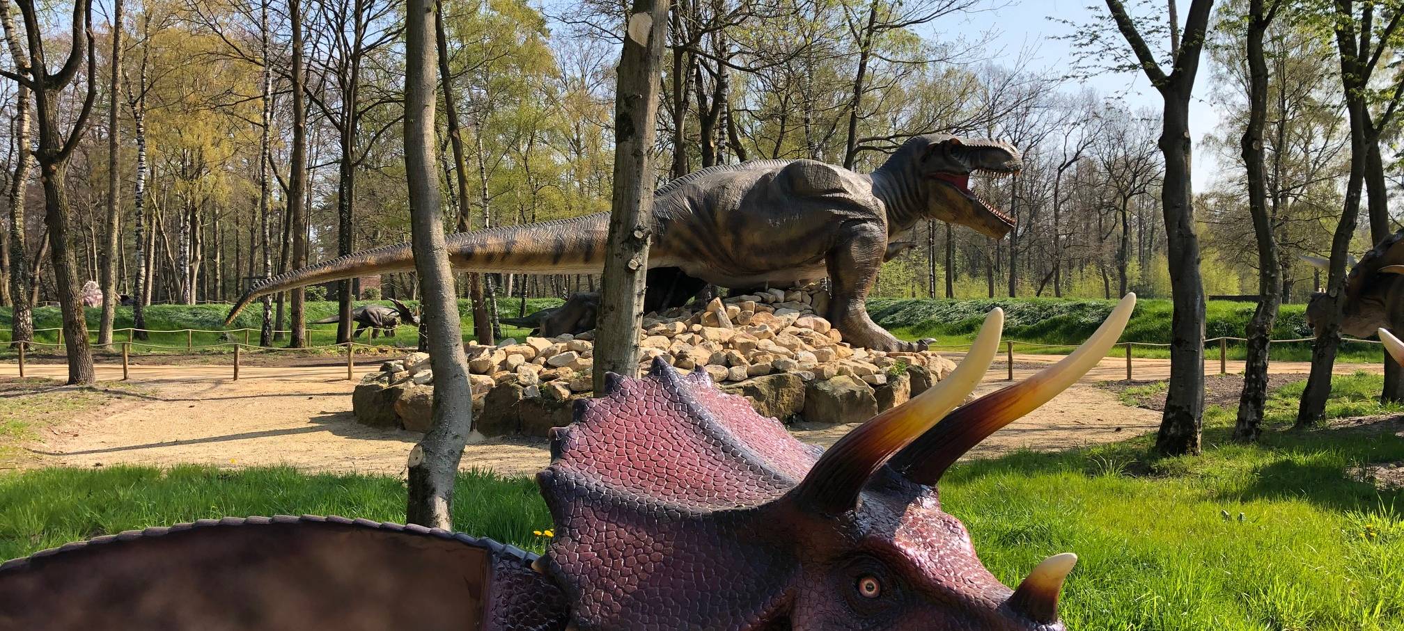 Dinopark in Metelen eröffnet Karfreitag