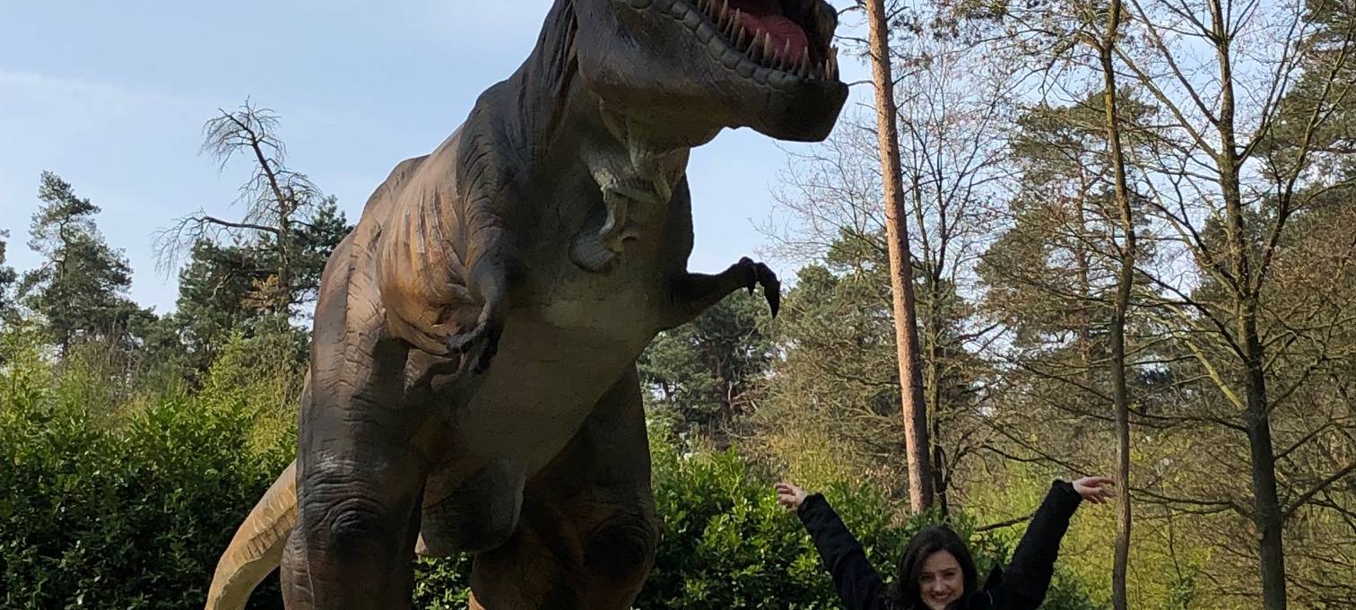 Dinopark in Metelen eröffnet Karfreitag