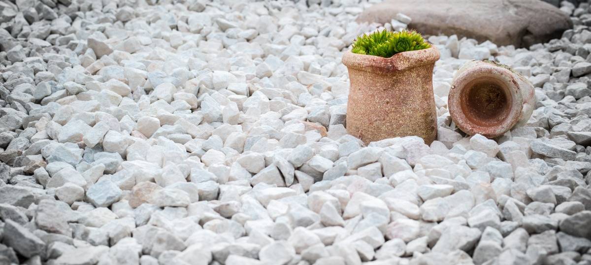 Immer mehr Schottergärten in der Region