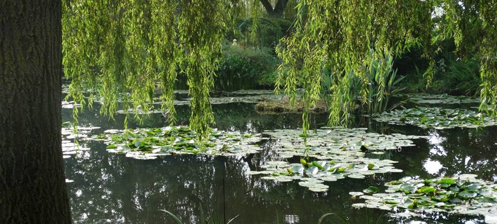 Landesgartenschau 2029