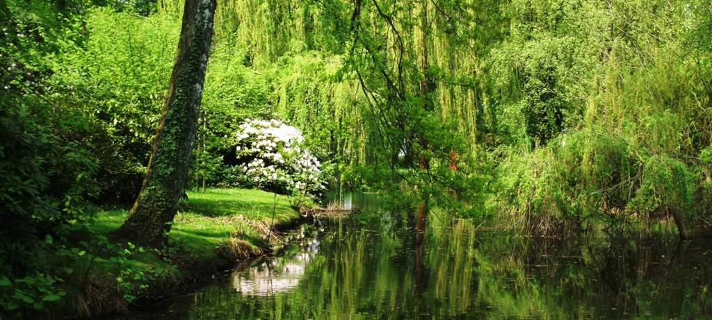 Landesgartenschau 2029