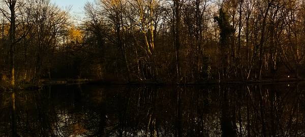 Landesgartenschau 2029 nicht in Steinfurt